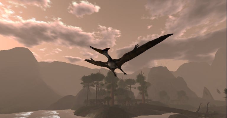 Pteranodon_003