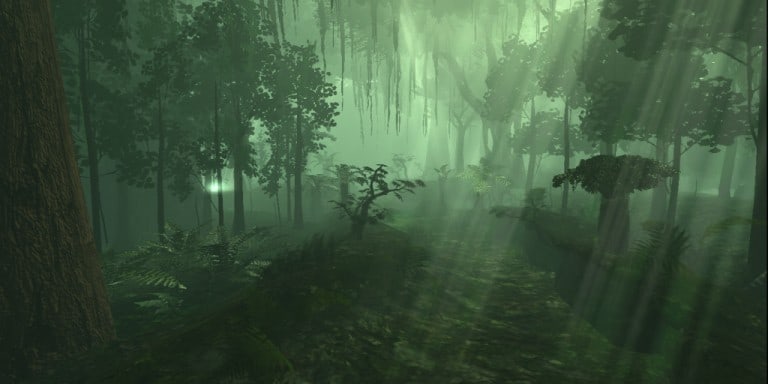 The Jungle