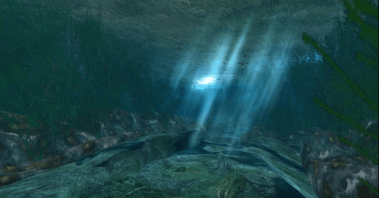 Kelp Forest Blue Waters cmp