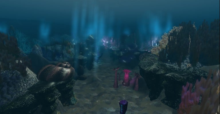 The Reef