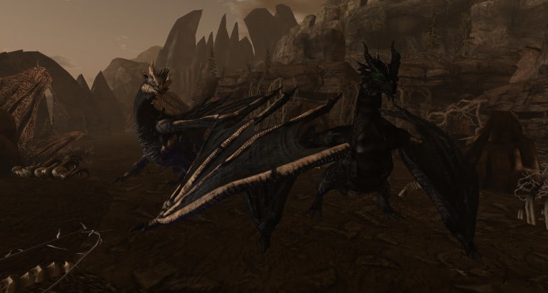 Wyvern Banner 2