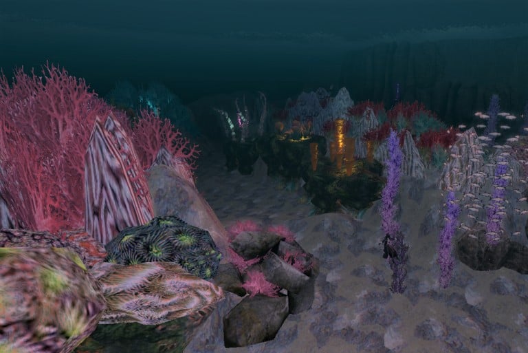 6. Reef Night edit